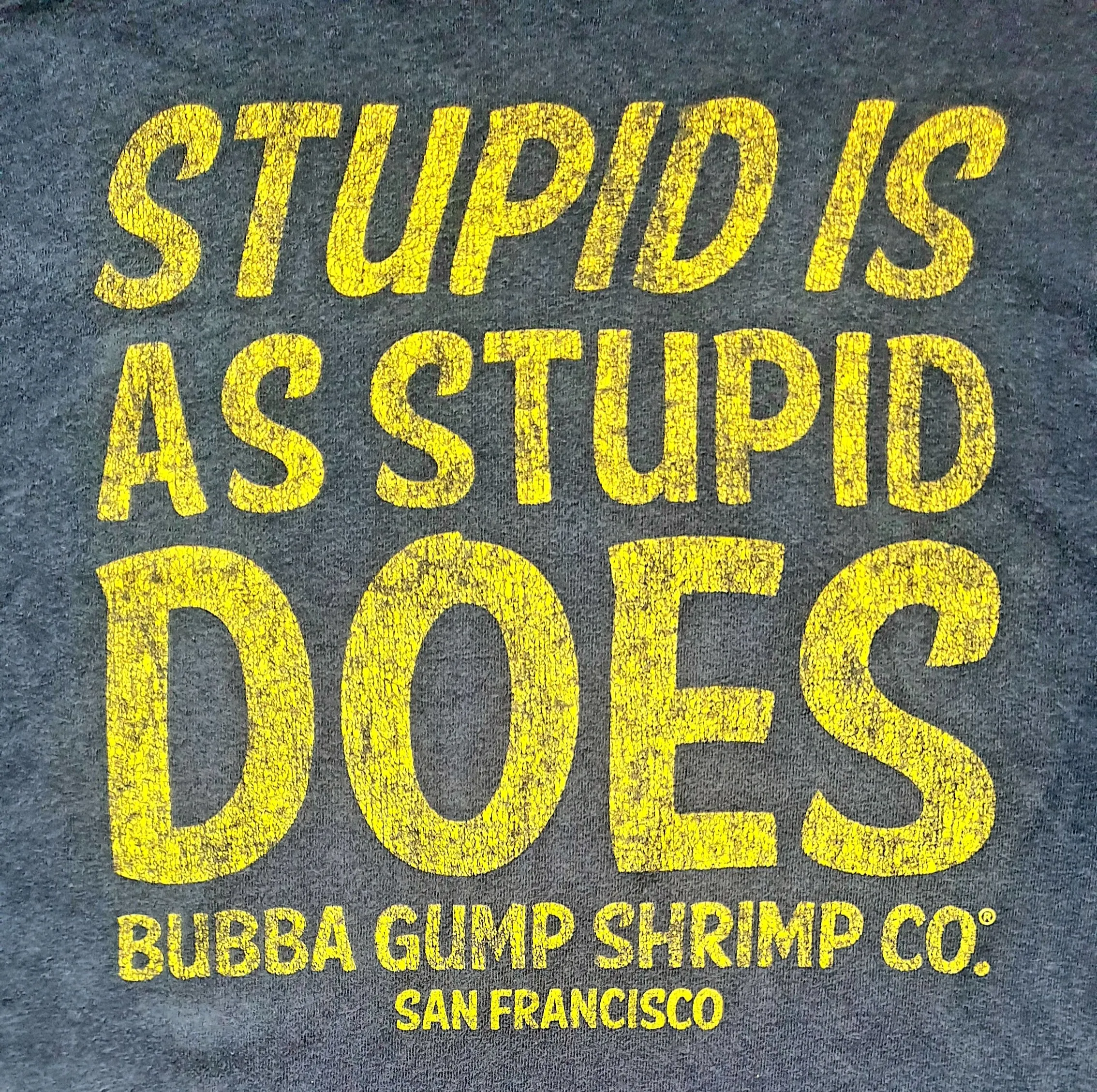 Vintage T-Shirt Bubba Gump Stupid Is As Stupid Does (Large)